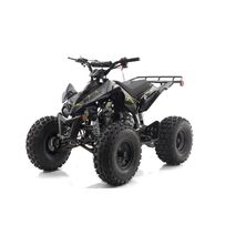 Blazer 125cc Quad / ATV
