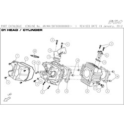 Daytona Anima 150F / 190F Engine Head Parts